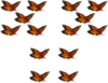 Fourteen Butterflies Image
